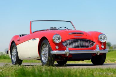 Austin Healey 100/6, 1959