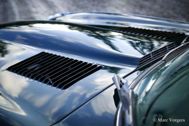 Jaguar E-type SIII V12 roadster, 1973