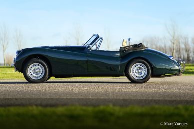 Jaguar XK 120 DHC, 1954