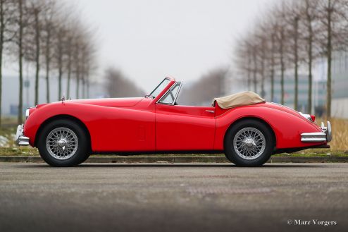 Jaguar XK 140 DHC, 1956