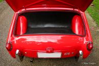 Triumph TR 2, 1954