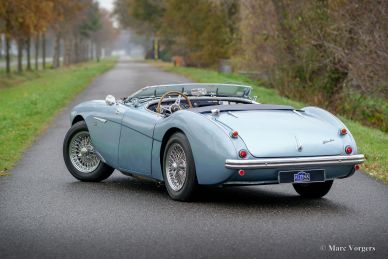Austin Healey 100/4 BN1, 1955
