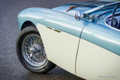 Austin Healey 100/4 BN2, 1956
