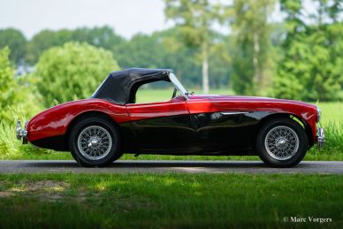 Austin Healey 100/4, 1954