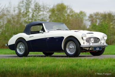 Austin Healey 100/6 BN4, 1957