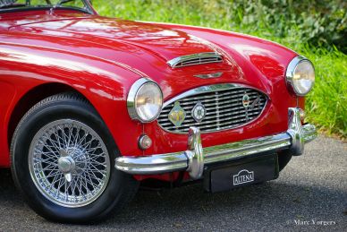 Austin Healey 100/6, 1959