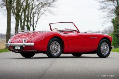 Austin Healey 100/4 BN2, 1956