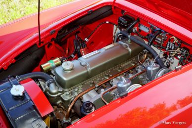 Austin Healey 100/6, 1959