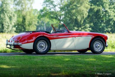 Austin Healey 100/6, 1959