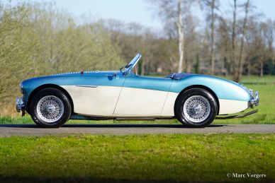 Austin Healey 100/4 BN2 ‘Le Mans’, 1956