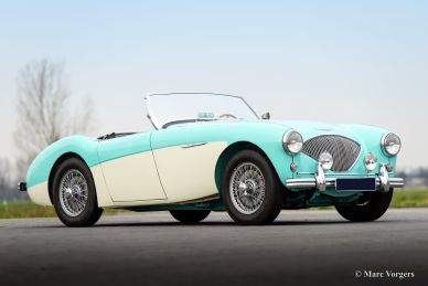 Austin Healey 100/4 BN-1, 1954
