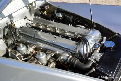 Jaguar XK 120 OTS, 1954