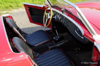 Austin Healey Sprite Mk I 'Frog Eye', 1959