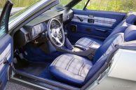 Triumph TR 8, 1980