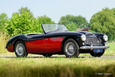 Austin Healey 3000 Mk I, 1959