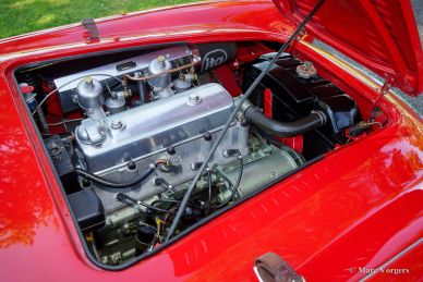Austin Healey 100/4 'Le Mans', 1954