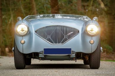 Austin Healey 100/4, 1955