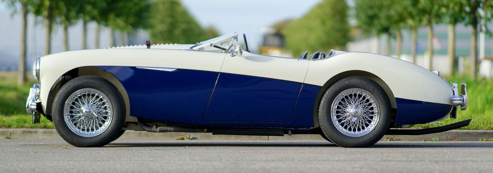 Austin Healey 100/4 ‘Le Mans’, 1955