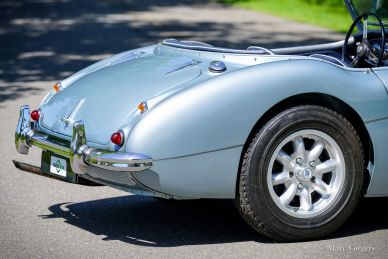 Austin Healey 100/6, 1958