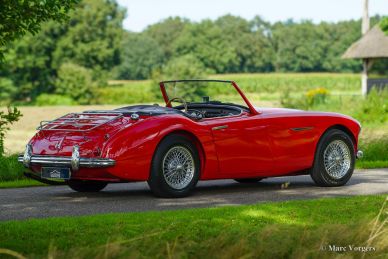 Austin Healey 100/6, 1959