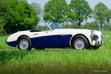 Austin Healey 100/6 ‘two-seater’, 1958