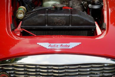 Austin Healey 100-SIX, 1959