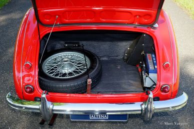 Austin Healey 100/6, 1959