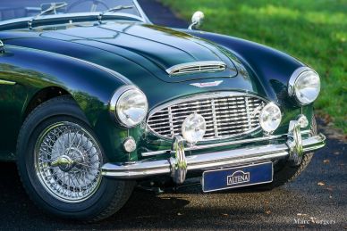 Austin Healey 100/6, 1957