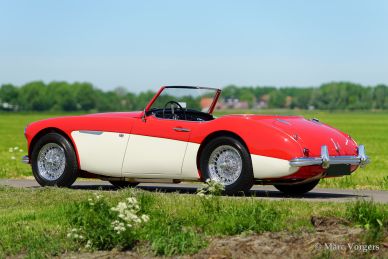 Austin Healey 100/6, 1959