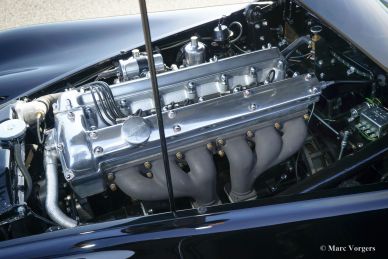 Jaguar XK 120 OTS, 1954