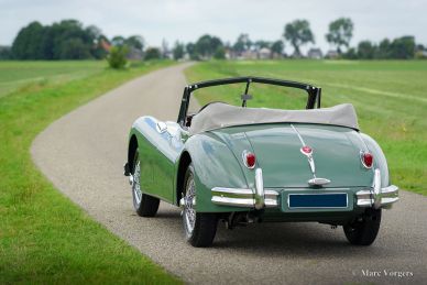 Jaguar XK 140 SE DHC, 1955