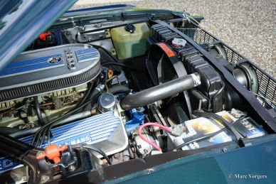 Ford Mustang Shelby GT 500, 1967