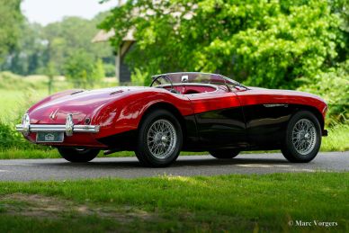 Austin Healey 100/4, 1954