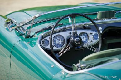 Austin Healey 100/4 BN1, 1955
