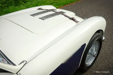 Austin Healey 100/6 BN4, 1957