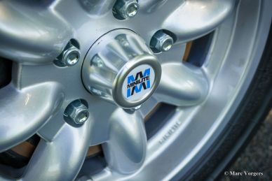 Austin Healey 100/6, 1958