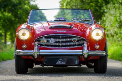 Austin Healey 100/6, 1959