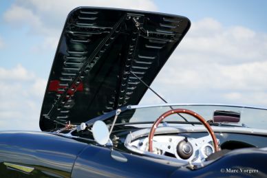 Austin Healey 100/4 BN2 ‘Le Mans’, 1956
