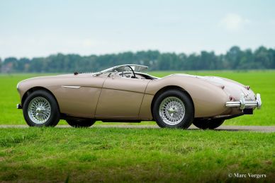 Austin Healey 100/4 BN-2, 1956