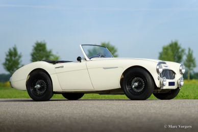 Austin Healey 100/6, 1959