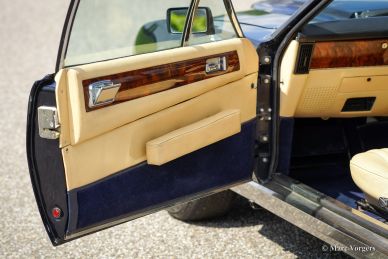 Aston Martin V8, 1980