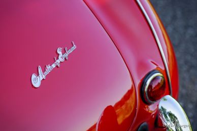 Austin Healey 100/4 'Le Mans', 1954