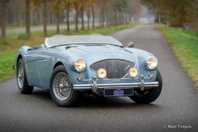 Austin Healey 100/4 BN1, 1955