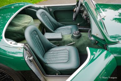 Austin Healey 100/6 BN6 ‘two-seater’, 1958