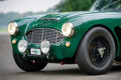 Austin Healey 100/6 BN6 ‘two-seater’, 1958