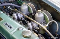 Austin Healey 100/6, 1958
