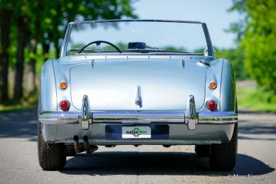 Austin Healey 100/6, 1958