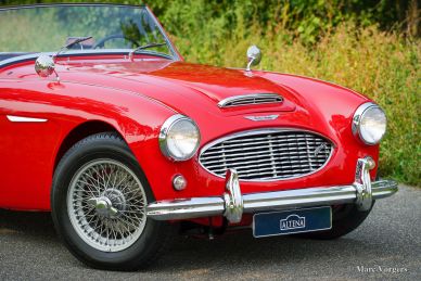 Austin Healey 100/6, 1959
