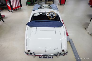 Austin Healey 100/M BN1, 1954 Mille Miglia preparation