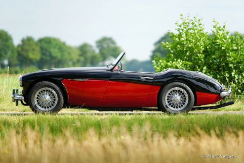 Austin Healey 3000 Mk I, 1959